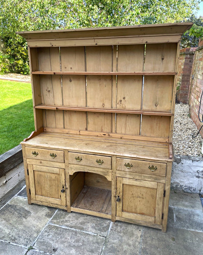 Antique stripped pine dog - antique, stripped-pine